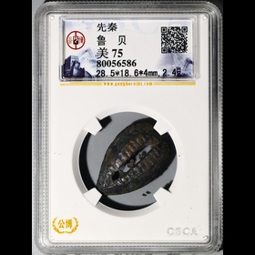 第2512002號：先秦 魯貝 公博 美75